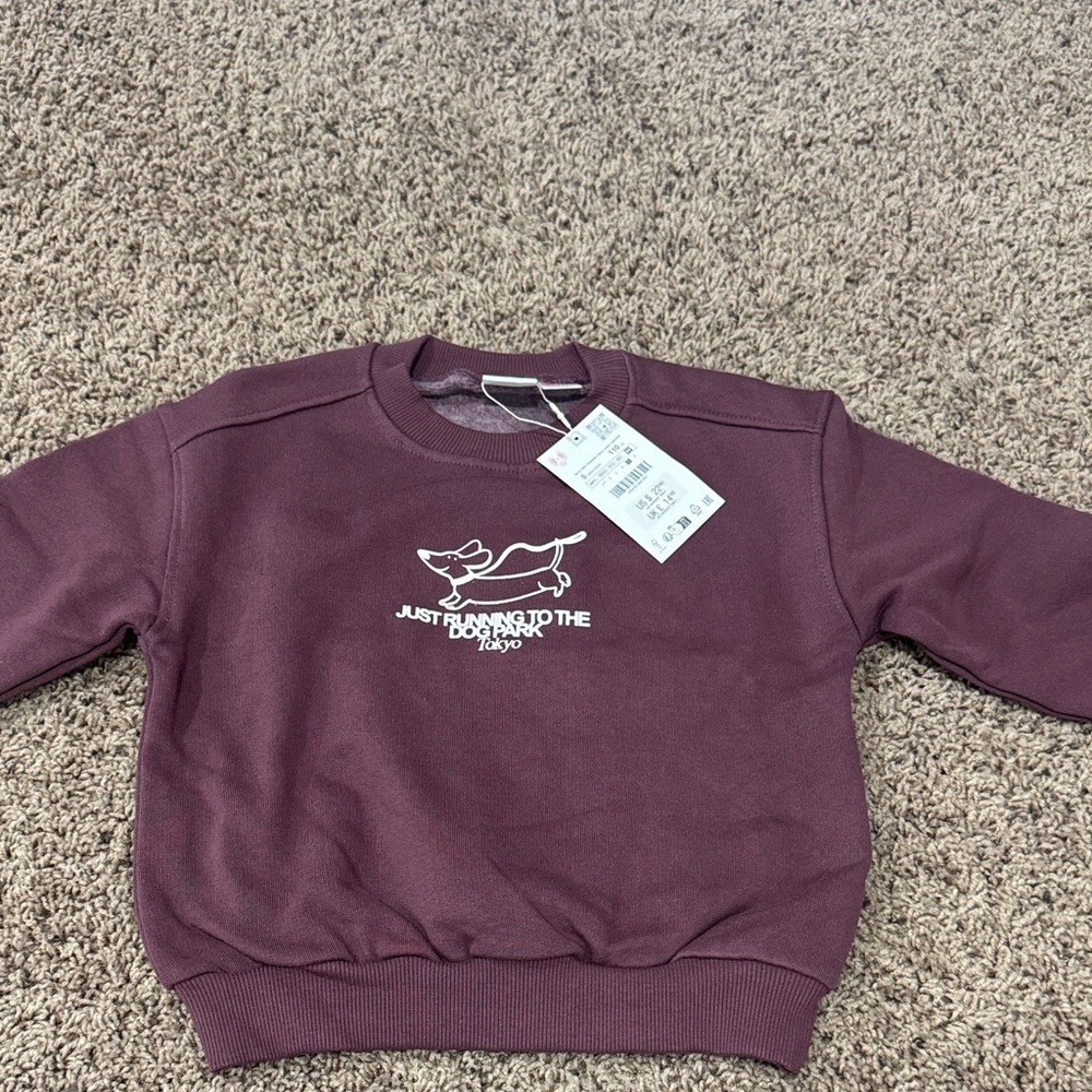 Zara Plum Sweatshirt with Graphic